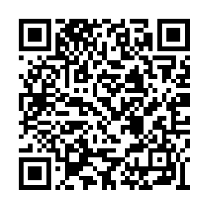 闵也不能真的在天牢内让曾毅和其他犯人一样的二维码生成