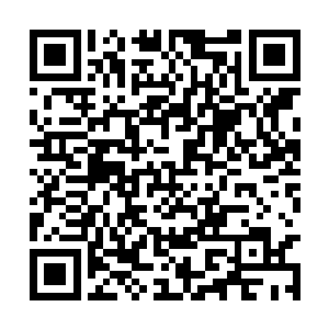 闵谌没有听见声音才扭头看向呆呆站在门口的桑怜二维码生成