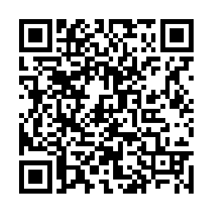 闵谌看着桑怜执拗又固执的样子只是轻轻叹息一声二维码生成