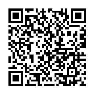 闹事的有角少年这时哪敢承认自己先动手打人小孩二维码生成