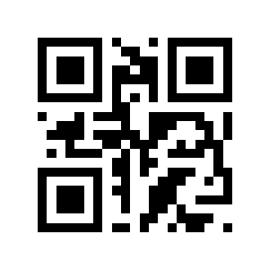 闹市二维码生成