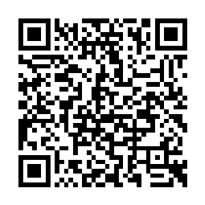 闺秀们的嬉笑声引得湖边的青年们纷纷抬头眺望二维码生成