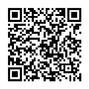 闻三夫人打心眼里觉得是因为闻悦意亲事人选的不如意二维码生成