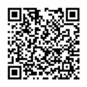 闻人牧月亲自帮龙王介绍了一番别墅的配套设置后二维码生成