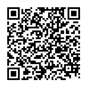 闻人牧月在快要把白家踩到谷底的时候为什么突然间转性又拉了你们一把二维码生成