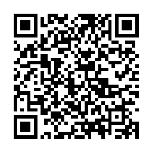 闻人牧月好像对这种全身长满尖刺的植物情有独钟二维码生成