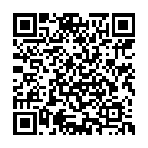 闻人牧月怀疑白残谱是一系列事件的幕后操控者二维码生成