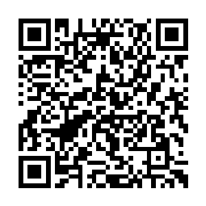 闻人牧月知道秦洛对商业领域这一块没多少了解二维码生成