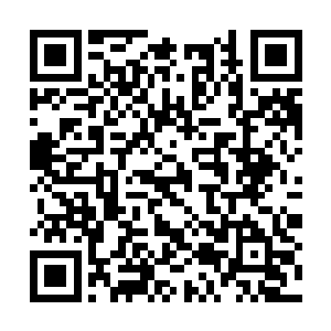 闻人牧月竟然破天荒的和秦洛讨论自己的感情话题二维码生成