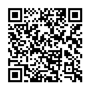 闻春意从闻大夫人处行到闻大少奶奶的小院里面二维码生成