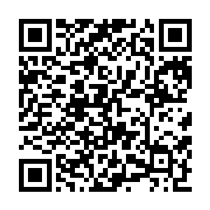 闻春意先把安排透给闻大夫人和闻大少奶奶那边二维码生成