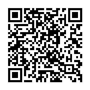 闻春意原本是舍不得这才半大小子就要跟着方成一路忙碌回去二维码生成