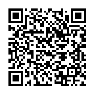 闻春意品尝了钟池春和闻秀峻两人亲手烤出来的鱼二维码生成