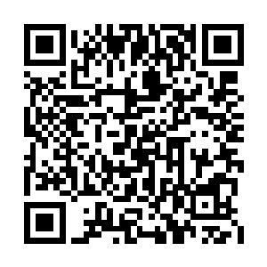 闻春意手里也保荐着闻秀玉这些年写给她的字帖二维码生成