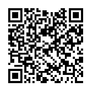 闻春意见闻秀桦和闻大少奶奶也不反对他们的行为二维码生成