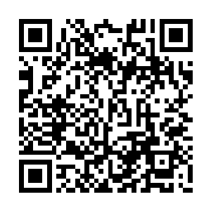 闻春意除去带着闻秀峻去后院照顾菜地和药草外二维码生成