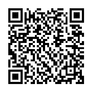 闻着空气中飘来的干燥尘土气息和不远处绿油油田野的蔬果味道二维码生成