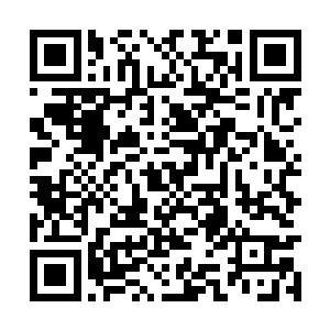 闻秀峻满脸欢喜跟金氏和闻雪意说着采下来的菜蔬二维码生成