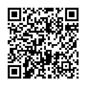 闻秀桦夫妻亲自陪着金氏和闻春意出府去茶楼相见二维码生成