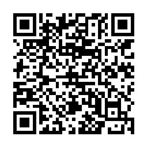 闻言朱平安几乎忍不住要一脚将胖子的脸踹大两码了都二维码生成