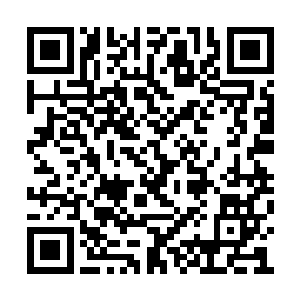 闻言立刻几个人抬起了箱子跟在了许紫烟的身后二维码生成