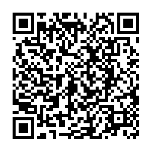 闻讯连夜赶来的航空公司总经理布洛林兴奋的给了巴克一个北欧式拥抱二维码生成