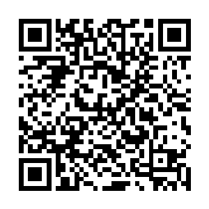 闻越毫不客气地打消了萧鹤修心中跃跃欲起的复仇之念二维码生成
