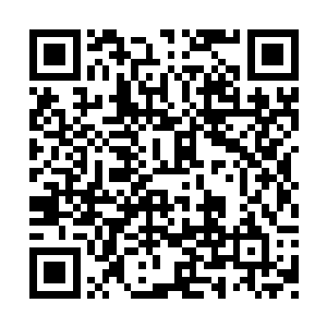 闻雪意和闻秀峻两人候在闻秀桦夫妻的身后站着二维码生成