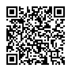 闻雪意和闻秀玉陪着闻秀峻去了闻老夫人的院子二维码生成