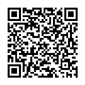 阎军笑眯眯的朝着秦宇和秦宇的本命元神鞠躬说道二维码生成