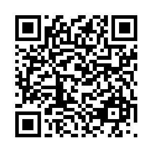 阎罗殿的本命阎罗本体是威严的巨人二维码生成