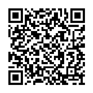 阐述你是怎么来到这个世界上的一个详细的过程二维码生成