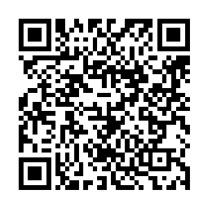 阜临公路项目在省计委正式通过了立项呈报到了省政府二维码生成