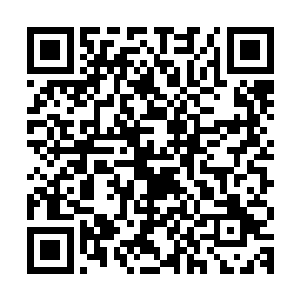 阜头县政府方面提出愿意在试点过程中予以一定的运营成本补贴二维码生成