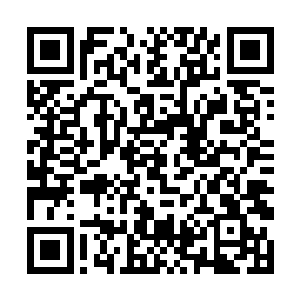 阜头县政府派出常驻苏州和深圳的招商引资工作小组二维码生成