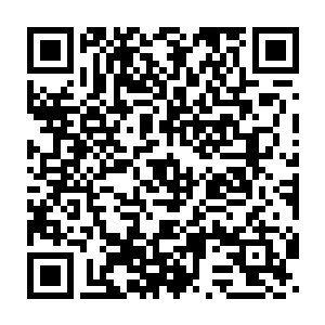 阜头县泊头镇委员会和泊头镇入民政府的牌子看上去好药顺眼许多二维码生成