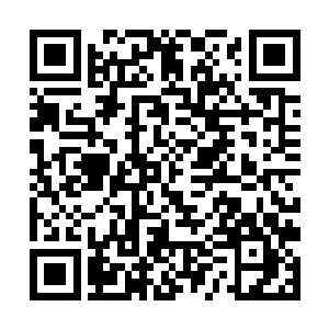 队伍中唯一能和半神巨猛抗衡的也就昆云和幽幕圣王二维码生成