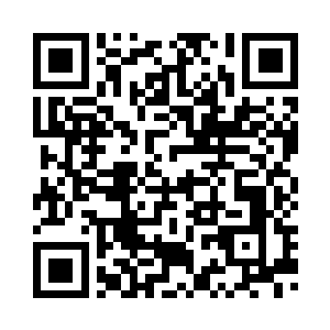 队伍中飞出上百只大大小小的光燕二维码生成