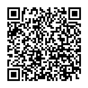 队伍穿过了一片茂密的树林――这样据说比原计划的路程要近了许多二维码生成