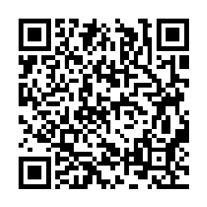 队伍里的五人中有两人都是之前没打过职业的新人二维码生成