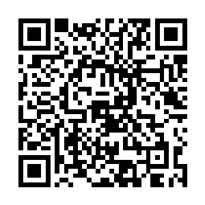 队员们一边前进一边用武器瞄准着任何一个可疑的窗口二维码生成