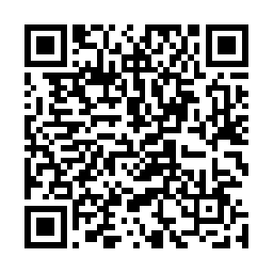 阮子玥还不可思议地感叹像她这么不爱读书的人竟然能考上二维码生成