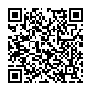 阮子玥这么能活跃气氛的人都被他的冷气场冻住了二维码生成