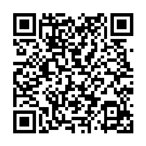 阮玉书手指的栖凤琴愈发有一种古朴但润泽的感觉二维码生成