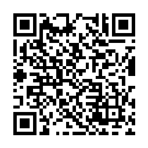 阮秘书长是不是已经急不可耐的要看到比赛开始了二维码生成