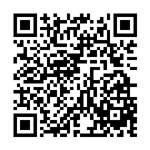 阮荷黎一副母鸡护小鸡的样子将饭盒紧紧抱在胸前二维码生成