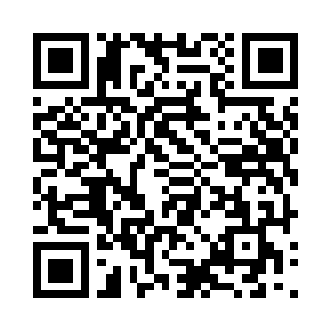 阮荷黎一看到他便想起上次点那么多的烤串二维码生成