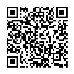 阮荷黎一看到望着小孩儿的父母想玩的心一下子淡了二维码生成