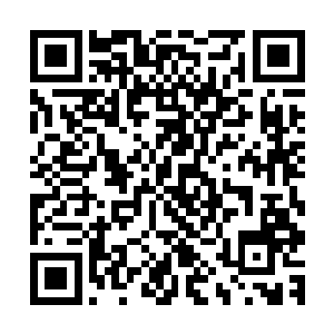 阮荷黎也很纳闷自己为什么会这么在意芮阁怎样对待别的女人二维码生成