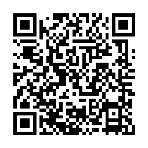 阮荷黎也收拾东西等苏墨尘去找经理把账单给她二维码生成